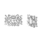 Sc-bling Crystal