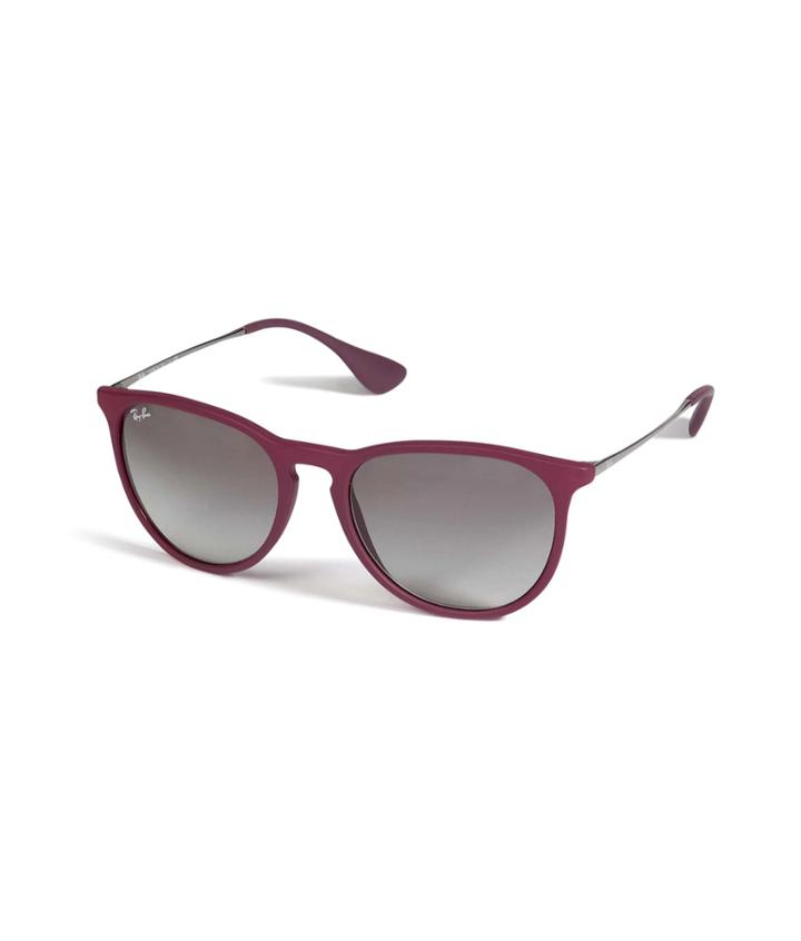 Ray-ban Rubberized/metal Erika Sunglasses