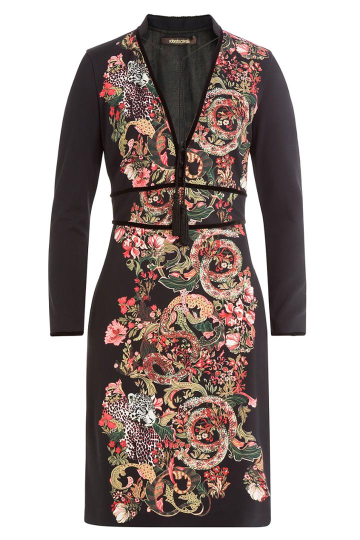 Roberto Cavalli Roberto Cavalli Printed Dress With Velvet - Multicolor
