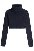 Valentino Valentino Cropped Turtleneck Pullover With Virgin Wool And Cashmere - Blue