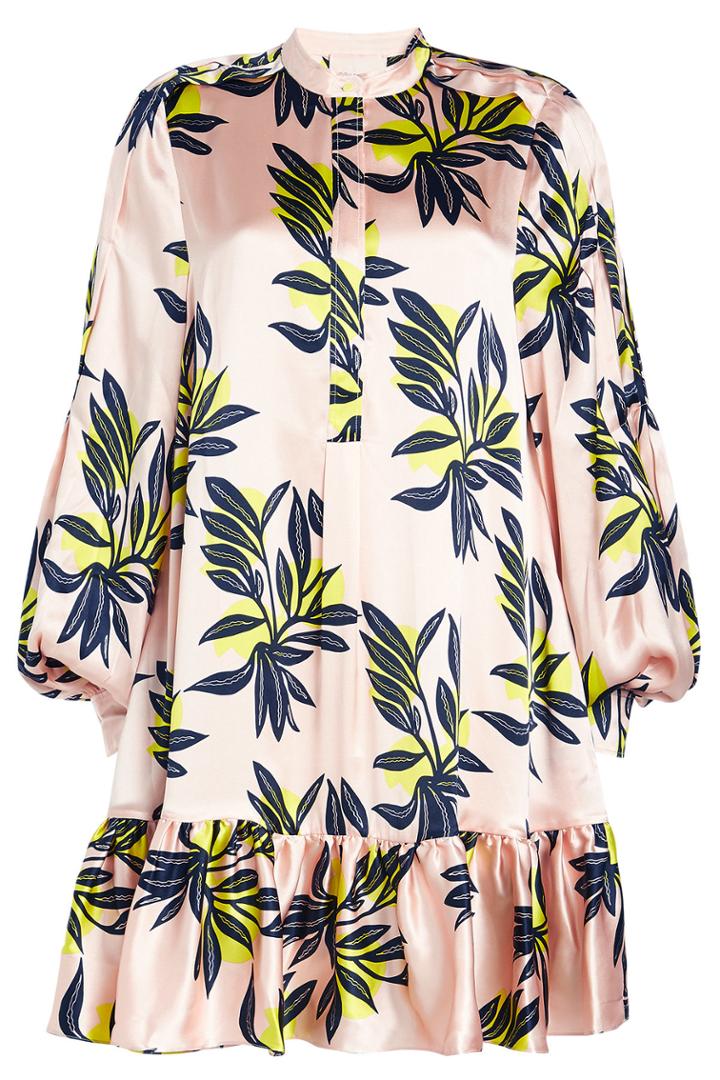 Roksanda Roksanda Aviana Printed Silk Dress