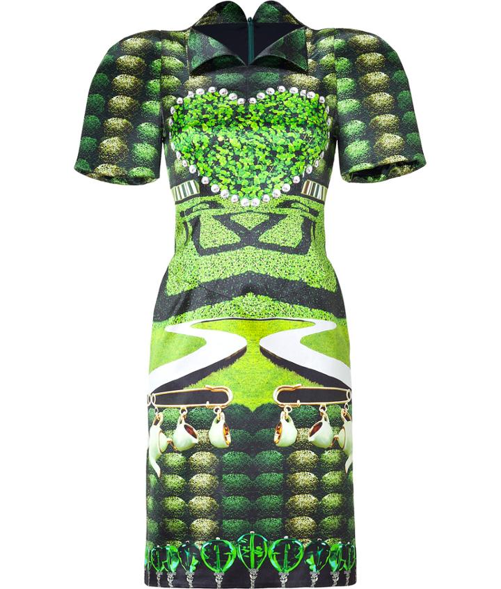 Mary Katrantzou Jade Garden Tea Party Print Dress