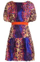 Peter Pilotto Roamer Printed Silk Dress