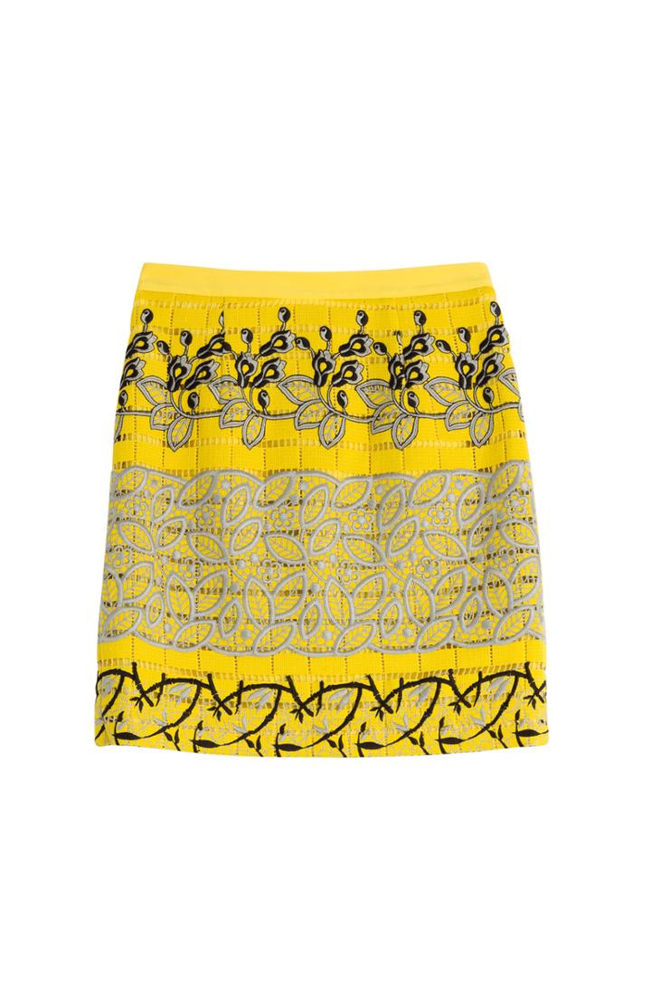 Etro Embroidered Skirt