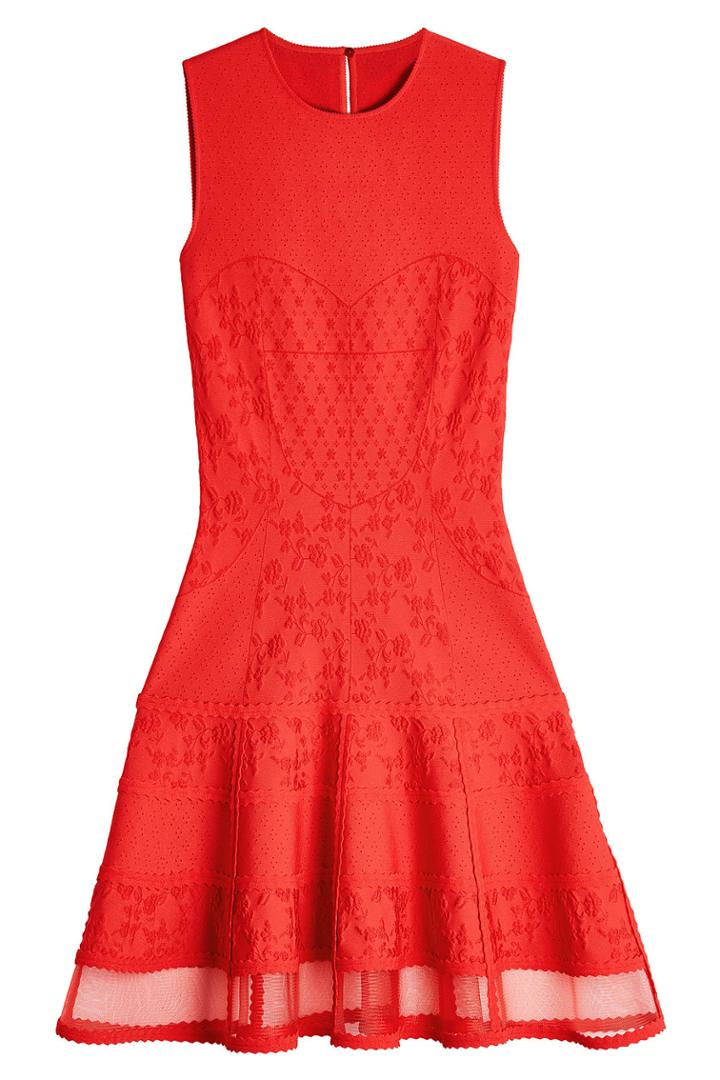 Alexander Mcqueen Alexander Mcqueen Embroidered Mini Dress With Tulle