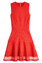 Alexander Mcqueen Alexander Mcqueen Embroidered Mini Dress With Tulle