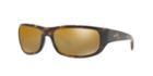 Ray-ban Rb4283ch 64 Tortoise Rectangle Sunglasses