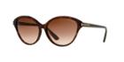 Tom Ford Ft0342 56f 60 Brown Square Sunglasses