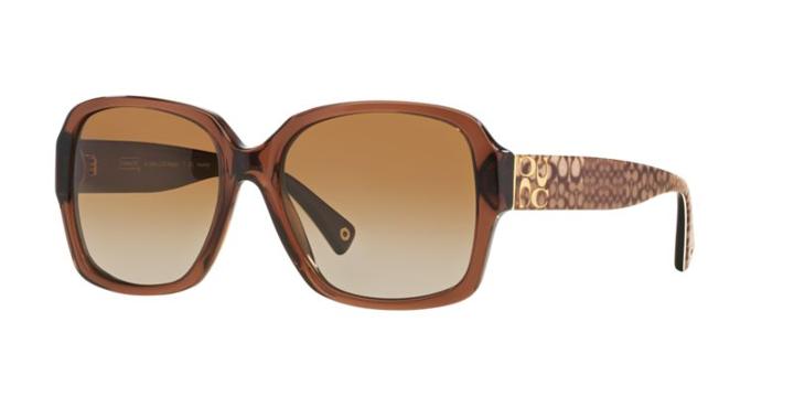 Coach Hc8044 Megan Brown Square Sunglasses
