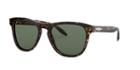 Giorgio Armani 55 Tortoise Square Sunglasses - Ar8116