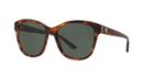 Ralph Lauren Tortoise Square Sunglasses - Rl8143