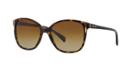 Prada Brown Square Sunglasses, Polarized - Pr 01os