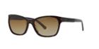 Emporio Armani Tortoise Square Sunglasses - Ea4004