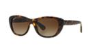 Ray-ban Brown Square Sunglasses - Rb4227