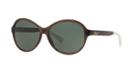 Ralph 58 Brown Oval Sunglasses - Ra5192