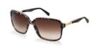 Dolce & Gabbana Brown Square Sunglasses, Polarized - Dg4172