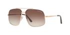 Tom Ford Ronnie Brown Square Sunglasses - Ft0439