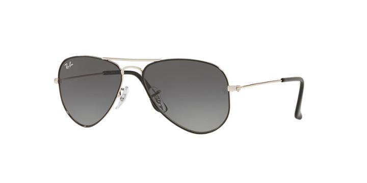 Ray-ban Rj9506s Silver Pilot Sunglasses