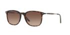 Giorgio Armani 54 Tortoise Matte Square Sunglasses - Ar8098