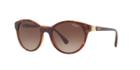 Vogue Vo5135sb 52 Tortoise Round Sunglasses