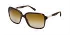 Dolce & Gabbana Tortoise Square Sunglasses - Dg4172