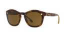 Versace 57 Tortoise Square Sunglasses - Ve4350