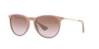 Ray-ban Erika Brown Pilot Sunglasses - Rb4171