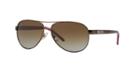 Ralph Brown Aviator Sunglasses - Ra4004