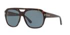 Tom Ford 61 Tortoise Square Sunglasses - Ft0630