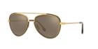 Versace 56 Gold Panthos Sunglasses - Ve2193