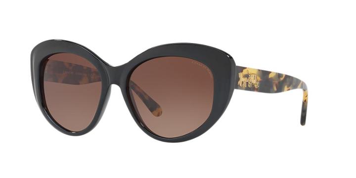 Coach 55 Multicolor Cat-eye Sunglasses - Hc8206