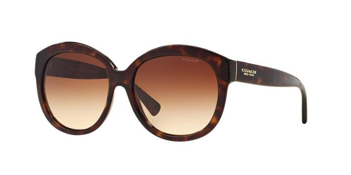 Coach 55 Tortoise Round Sunglasses - Hc8159