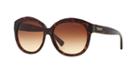 Coach 55 Tortoise Round Sunglasses - Hc8159