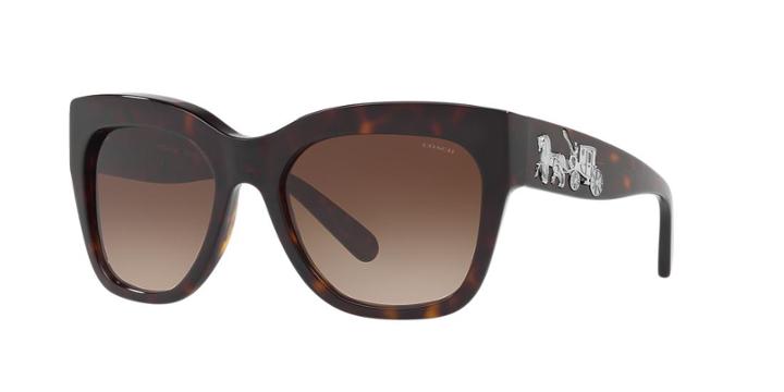 Coach 56 Tortoise Square Sunglasses - Hc8213