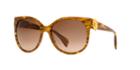 Alexander Mcqueen Amq4247/s Brown Cat Sunglasses