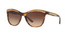 Ralph Lauren Black Square Sunglasses - Rl8150