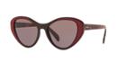 Prada Pr 14us 55 Brown Cat-eye Sunglasses