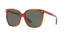 Gucci Gg0022s Tortoise Cat-eye Sunglasses