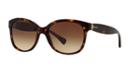 Ralph 55 Tortoise Cat-eye Sunglasses - Ra5191