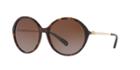 Coach 56 Tortoise Wrap Sunglasses - Hc8214