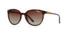 Smith Optics Cheetah 53 Tortoise Round Sunglasses