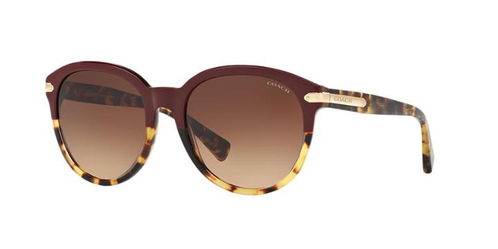 Coach 55 Burgundy Round Sunglasses - Hc8140