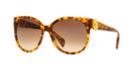 Alexander Mcqueen Amq4247/s Tortoise Cat Sunglasses