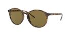 Ray-ban 55 Brown Panthos Sunglasses - Rb4371