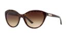 Giorgio Armani Ar8033 57 Brown Cat Sunglasses