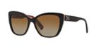 Dolce &amp; Gabbana Dg4216 Tortoise Butterfly Sunglasses