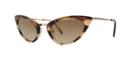 Tom Ford Grace Brown Cat-eye Sunglasses - Ft0349
