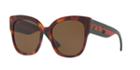 Gucci Gg0059s 55 Tortoise Rectangle Sunglasses