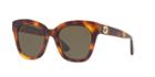 Gucci Gg0029s 50 Tortoise Cat-eye Sunglasses