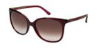 Gucci Gc3649/s Burgundy Square Sunglasses